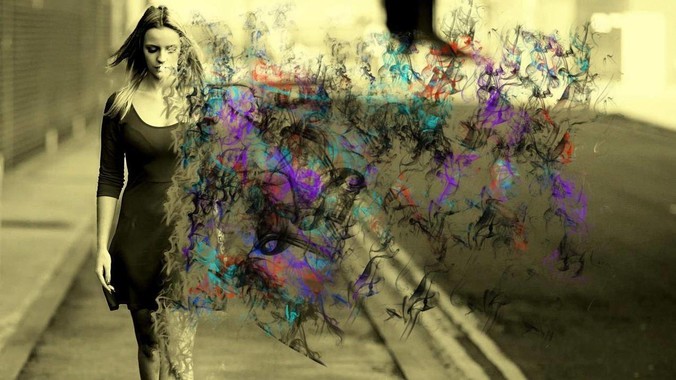 为什么“柴犬”从万人迷，变成万人嫌？