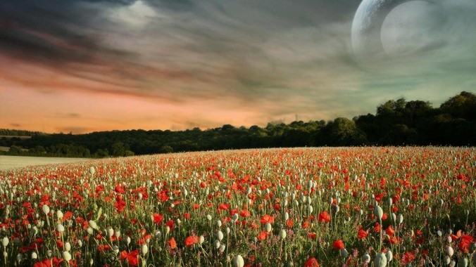 如何看待“开私人飞机的富人不带头环保，我一普通人为啥要环保”的观念？